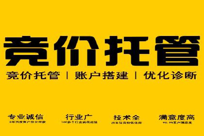 百度推广秘籍：案例与技巧
